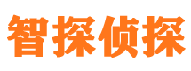 阳原外遇调查取证